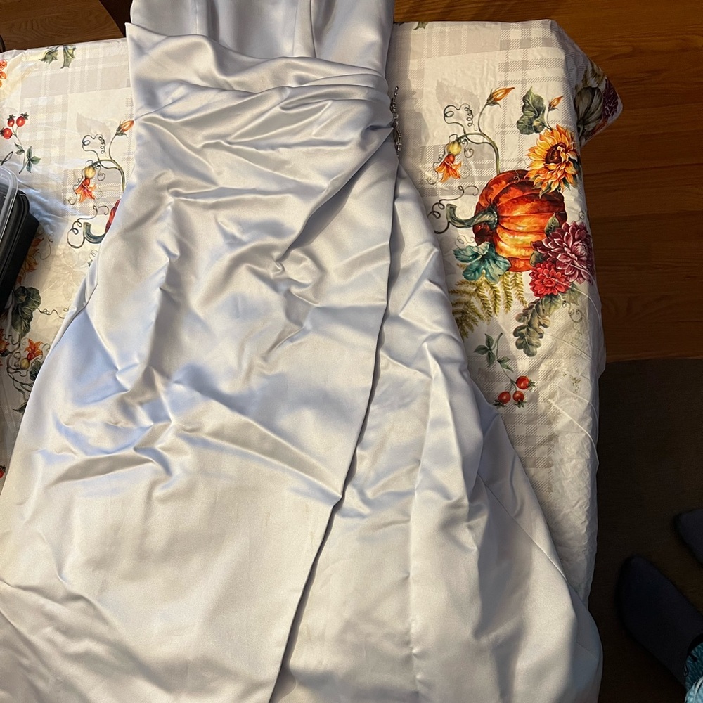 David’s Bridal Formal Dress!